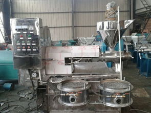 专业供应元鑫芝麻榨油机 高效稳定的机械选择